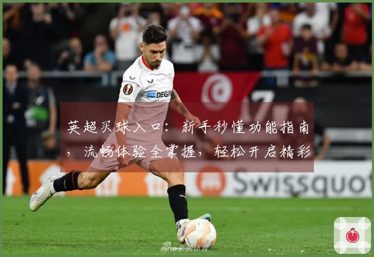 英超买球入口：新手秒懂功能指南，流畅体验全掌握，轻松开启精彩观赛之旅