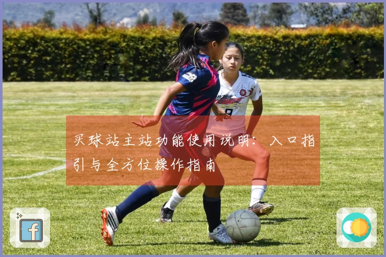 买球站主站功能使用说明：入口指引与全方位操作指南